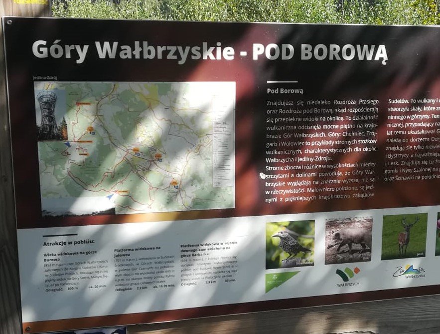 Wycieczka na Borową