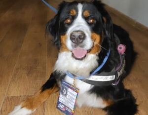 Ponad 32 tysiące na WOŚP