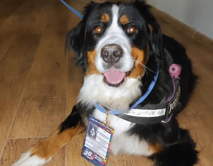 Ponad 32 tysiące na WOŚP